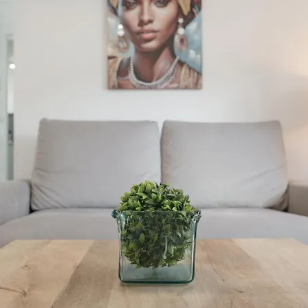 アパート Piso Acogedor Centro